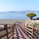 신우민박 이미지