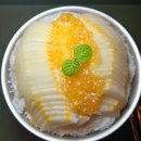 베스트 애견 이미지