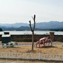 화진포관광지 이미지