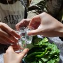 [생태체험] 대저생태공원 - 5월 26일(일) 오전 | [경북 울진]왕피천힐링팜#2 왕피천에서 했던 일, 자연생태체험, 바비큐,불멍, 자연친화울진펜션