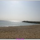 동해바다 이미지