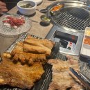 육화백