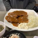 윤화빌딩 | [강남 맛집] 기사식당의 위엄, 푸짐하고 담백한 돈까스 성지 '윤화돈까스'