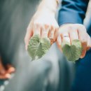 가족축사 이미지