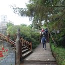 허궁다리 이미지