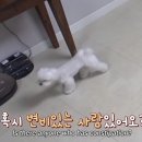 쌈바농장 이미지