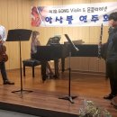 송바이올린 이미지