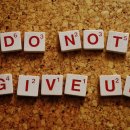 형지농장 이미지