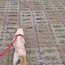 계룡목장 이미지