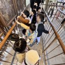 11.4 - 에버랜드 이미지