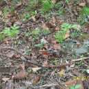 동강농장 이미지