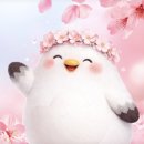 센스있는 축제 기념품, 다회용 토이필름카메라 커스텀 굿즈 리뷰