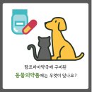 팜프라자 약국 이미지