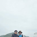 당진민의원 Daum카페