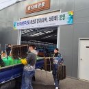 해조 이미지