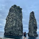 울릉도 여행 시계방향 사동항 독도 스노쿨링 명소 도동항 밤낚시