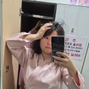 남부순환로323길 44-3 | 3.23 - 29 / 왕십리에서 코디, 편두통땜에 대치동으로, 쏘세지 수원모임, 문정동