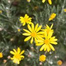 제주민박 제주잔잔 이미지