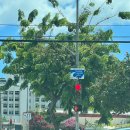 금고농장 | 하와이태교여행 숙소 추천 쉐라톤 와이키키 비치 리조트 오션 프론트룸 후기