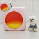 핑크 펫 하우스 이미지