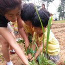 해맑음농장 이미지