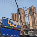 지나청과