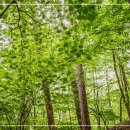 연세힐링의원 이미지