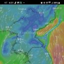 6시 현재 부산 기장 울산에 비가 내리고 1~2시간후 강우현상은 종료될듯 합니다. 이미지