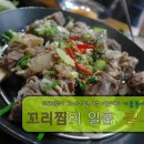 등나무집 Daum카페