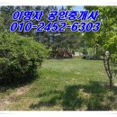 군산금광초등학교 이미지