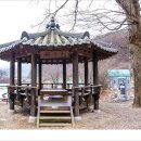 욋골 Daum카페