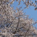 금호강7 이미지