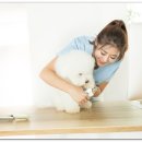 올바른 동물병원 이미지