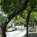 정이든빌딩 이미지