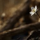 백암2리 경로당 이미지