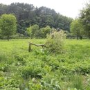 금강수변공원4 이미지