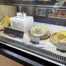 멍냥프라이 이미지