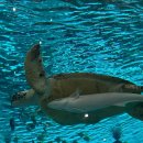 서준 코퍼레이션 이미지