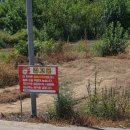 세인트354 이미지