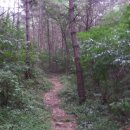 함안 명관리 공룡발자국 이미지