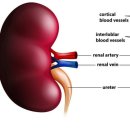 하트동물의료센터 이미지