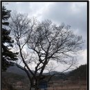 행정리 마을회관 이미지