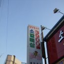 꽃보다소 이미지