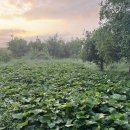 재복농장 이미지