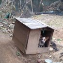 강골민박 이미지