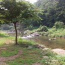 승지골농장 네이버블로그