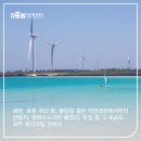 제주를품다