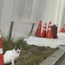개거품마켓 | 우왕 가을이당~
