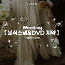 다솜아뜰리에 | ˖ . ݁W.3₊ 본식 스냅 & DVD 업체 [13월의 프로젝트] 계약