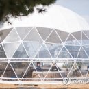 서프라운지